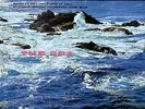 RCA | Charles Munch, BSO - Debussy: La Mer / Ibert: Port Of Call 200g LP NEU