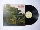 McGUINESS FLINT   RAINBOW VINYL LP   ILPS 9244   EX+/EX   BRONZE 1973 UK A-1/B-1