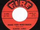 Elmore James 7