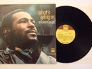 MARVIN GAYE - WHAT'S GOING ON - 1ST PRESS TAMLA VINYL LP T 310 NEAR MINT (NM)