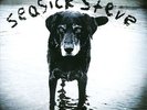 Seasick Steve - You Can't Teach an Old Dog New Tricks