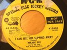 Northern Soul 45 Mamie Lee MGM # 13850