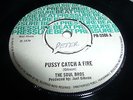 THE SOUL BROS PUSSY CATCH A FIRE DESTROYERS PRESSURE BEAT SKA   7'' LISTEN
