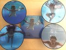 Nirvana Nevermind Deluxe Pic Disc Vinyl #1715/1991 Reissue Rare Picture Disc
