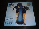 BIG COUNTRY : WHY THE LONG FACE     1995 G/FOLD   LP       EX/CON