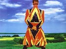 Earthling - David Bowie 8718469533114 (Vinyl Used Very Good)