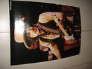 BOB DYLAN CBS SONY Promo Rolled Poster 1970' or 1980' Japan