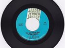 Rare NW Garage 45 The Sonics 