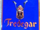 TREDEGAR Same - first press 1986 LP/Vinyl - Zustand LP: M-/Mint- BUDGIE