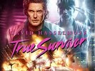 David Hasselhoff - True Survivor Vinyl 7