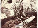 Secrets of the Beehive  David Sylvian