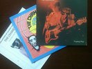 The Chameleons – Fan and Bellows, Tripping Dogs, Peel Sessions LPs