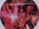 JIMI HENDRIX The L.A. Forum Concert Volume 1 RADIOACTIVE LP picture disc