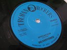 RARE Trojan Reggae 45 Silvertones African Dub EX+ 
