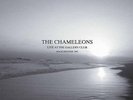 Live At The Gallery Club - 2 DISC SET - Chameleons (2015, Vinyl New)
