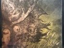 Protest The Hero - Fortress Green Marbled /300 Sealed Sold Out