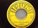 WARREN SMITH I'VE GOT LOVE IF YOU WANT IT ORIGINAL 45 RARE ROCKABILLY SUN #286