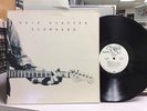 ERIC CLAPTON: Slowhand, RSO Records, White Label Promo, OOP LP