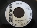 HEAR BOTH Girl Group Doo Wop Soul STARLETTES Jungle Love/Ring Phone CHECKER DJ