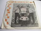 THE COMMANDS 