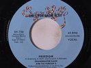 GRANDMASTER FLASH & FURIOUS FIVE: Freedom / Same 45 (dj, sm tol) rare Rap/Hip-H