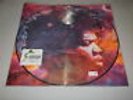 IN FROM THE STORM  World and music By JIMI HENDRIX - LTD NUMBERED PICTURE LP  DP