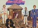 Flying Burrito Brothers The Gilded Palace Of Sin 180g Vinyl LP Record byrds NEW