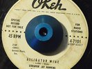 RARE 45 - SCREAMIN' JAY HAWKINS THERE'S SOMETHING WRONG WITH YOU Promo Listen