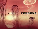 VERDENA - SOLO UN GRANDE SASSO -2 LP VINYL NUOVO PREORDER DISP. DAL 25 SETTEMBRE