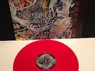 PIG DESTROYER - Phantom Limb vinyl lp /600 converge agoraphobic nosebleed maruta