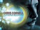 Chris Cornell: Euphoria Mourning (180GV) LP