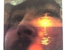 DAVID CROSBY   
