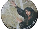 Kate Bush - Limited edition Retro / Vintage - Interview picture disc BAK 2073
