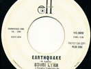 Northern Soul Bobbi Lynn 45 