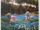 SONIC YOUTH 'Murray Street' Gatefold Vinyl LP NEW & SEALED