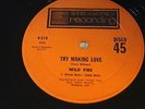WILD FIRE  try making love STRAKERS -  funk Carribean Disco afro Breaks