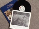 Flying Burrito Brothers - RARE Flying Burrito original promo vinyl LP