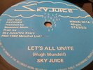  SKY JUICE - LETS ALL UNITE UK Dub Roots Reggae Original 12