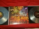 The Opposite of December/Tear from the Red by Poison the Well (Vinyl,...