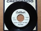 SEEDS YOU'RE PUSHING TOO HARD OUT OF THE QUESTION 60's GARAGE PSYCH PROMO 45