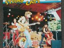 Stray Cats 