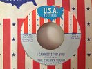 MINT The Cherry Slush 1968 I Cannot Stop You 45w/PS USA Garage Unused Stock Mint
