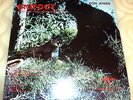 VERY RARE VINTAGE BIGFOOT SASQUATCH 33 RPM LP RECORD by DON JONES