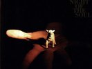Danger Mouse & Sparklehorse Present Dark Night Of The Soul 2x LP Vinyl NEW