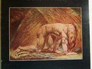 ATOMIC ROOSTER Death Walks Behind You - Original UK LP - Heavy Prog Andromeda
