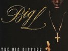 Big L - Big Picture (Rawkus 2LP) Biggie Jay-Z Kool G Rap Nas Big Daddy Kane