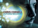 Euphoria Morning - CORNELL CHRIS [LP]