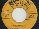 ORIG-R&B-DETROIT SPIN RECORDS 0001-THE TWILIGHTERS-A POSSIBILITY-YES YOU ARE-45