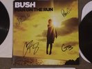 Bush Man On The Run Vinyl Lp Signed Nirvana Pearl Jam Soundgarden Foo Fighters