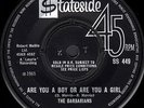 THE BARBARIANS Are You A Boy Or Are You A Girl ORIG 65 Stateside GARAGE  PUNK